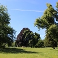 Lennépark