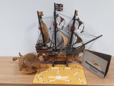 Bild vergrern: Ein Kugelfisch, das Modell der Kogge Mayfair und ein Schaubild mit Seemannsknoten.