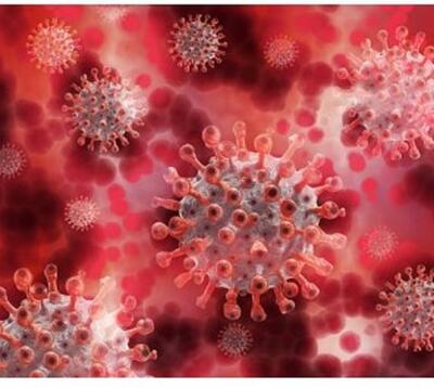 Bild vergrößern: Coronavirus