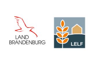 Bild vergrößern: Logo LELF Land Brandenburg