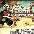 Bild vergrößern: Plakat HeleneSee Beach Festival