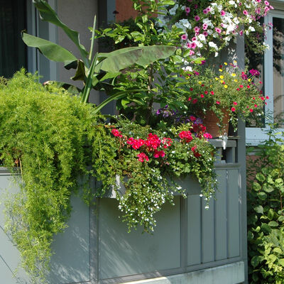 Bild vergr&ouml;&szlig;ern: Balkon- und Vorgartenwettbewerbe der Wowi mit Freiwillig Gärtnern