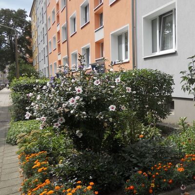 Bild vergr&ouml;&szlig;ern: Balkon- und Vorgartenwettbewerbe der Wowi mit Freiwillig Gärtnern