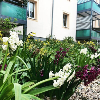 Bild vergr&ouml;&szlig;ern: Balkon- und Vorgartenwettbewerbe der Wowi mit Freiwillig Gärtnern