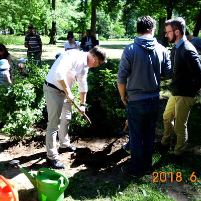 Bild vergr&ouml;&szlig;ern: Pflanzaktion im Kleistpark 2018