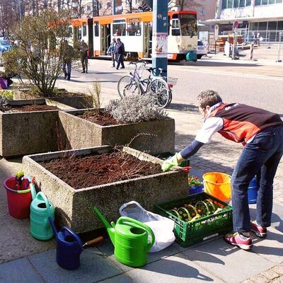 Bild vergr&ouml;&szlig;ern: Pflanzaktion Cityfrühling 2018