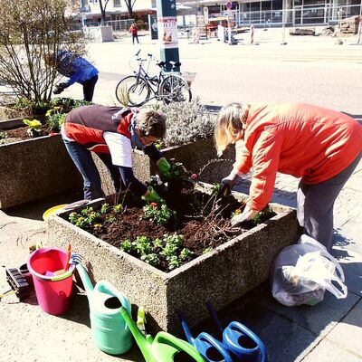 Bild vergr&ouml;&szlig;ern: Pflanzaktion Cityfrühling 2018