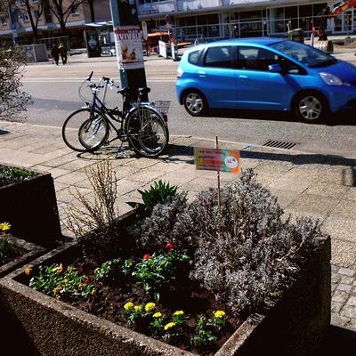 Bild vergr&ouml;&szlig;ern: Pflanzaktion Cityfrühling 2018