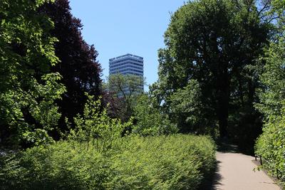 Bild vergrößern: Blick vom Lennépark zum Oderturm