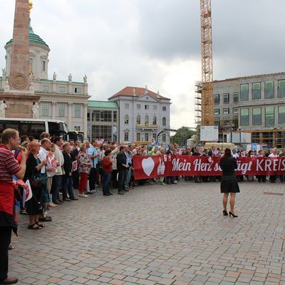 Bild vergrößern: Demo vor dem Landtag in Potsdam am 08.07.2015