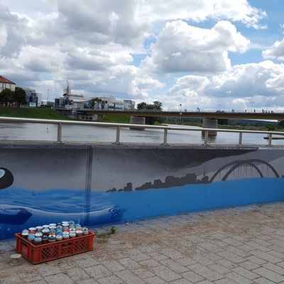 Graffiti Hochwasserschutzwand Oder 2016 