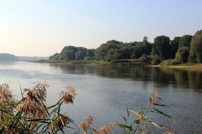 Bild vergr&ouml;&szlig;ern: Insel Ziegenwerder September 2016