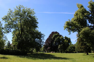 Bild vergr&ouml;&szlig;ern: Lennépark