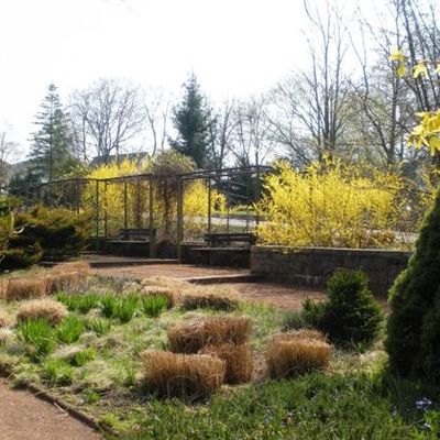 Bild vergrößern: Botanischer Garten
