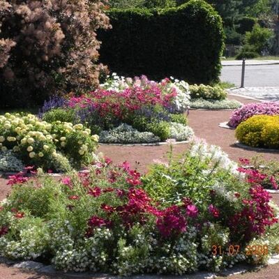 Bild vergr&ouml;&szlig;ern: Botanischer Garten