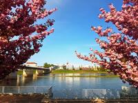Bild vergr&ouml;&szlig;ern: Blick auf Slubice