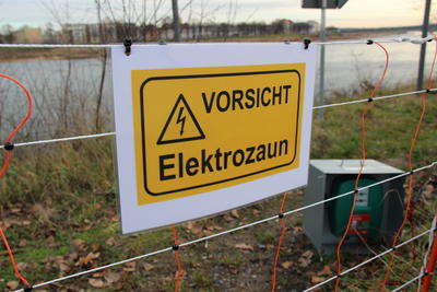Bild vergrößern: Elektro-Wildschweinzaun an der Oder