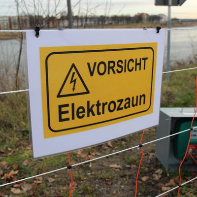 Elektro-Wildschweinzaun an der Oder