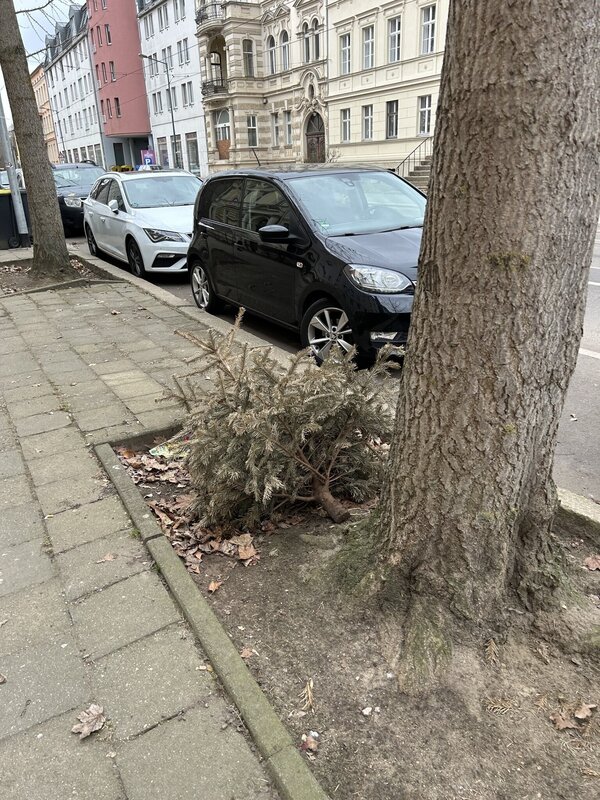 Bild vergr&ouml;&szlig;ern: e0c98c5b09f58ee9779812463ba804e0_g