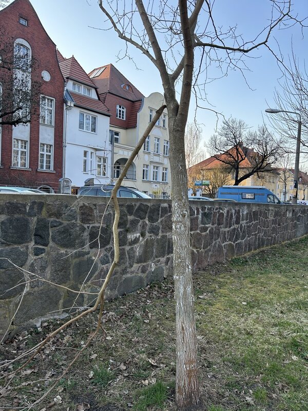 Bild vergr&ouml;&szlig;ern: 731d203f92ffff26a01aeef183a99942_g
