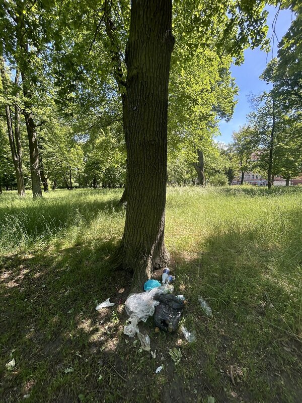 Bild vergr&ouml;&szlig;ern: 6f614c9c7534394d0cb812fba33373a5_g