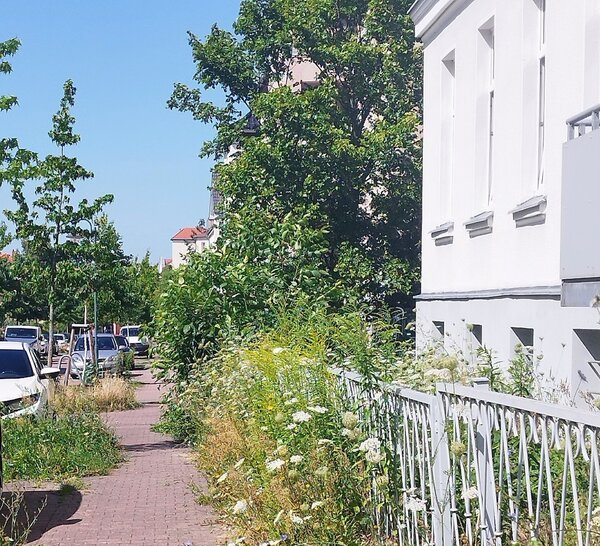 Bild vergr&ouml;&szlig;ern: 2b791433be9f0b5203dbf19ca29c1c68_g
