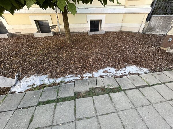 Bild vergr&ouml;&szlig;ern: 0af1b1430aee93f7d55778ca42d96ad3_g