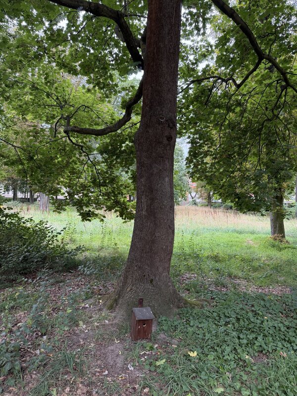 Bild vergr&ouml;&szlig;ern: 059831e2934fc2b60e34042f7c4cd778_g