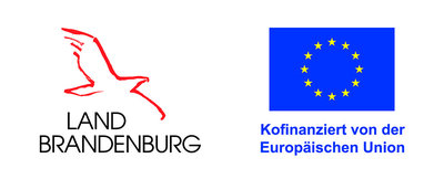 Bild vergr&ouml;&szlig;ern: Logokombi_LB_EU