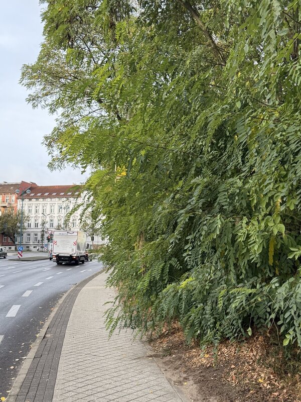 Bild vergr&ouml;&szlig;ern: 79482561b731703214847f7ffa2770db_g