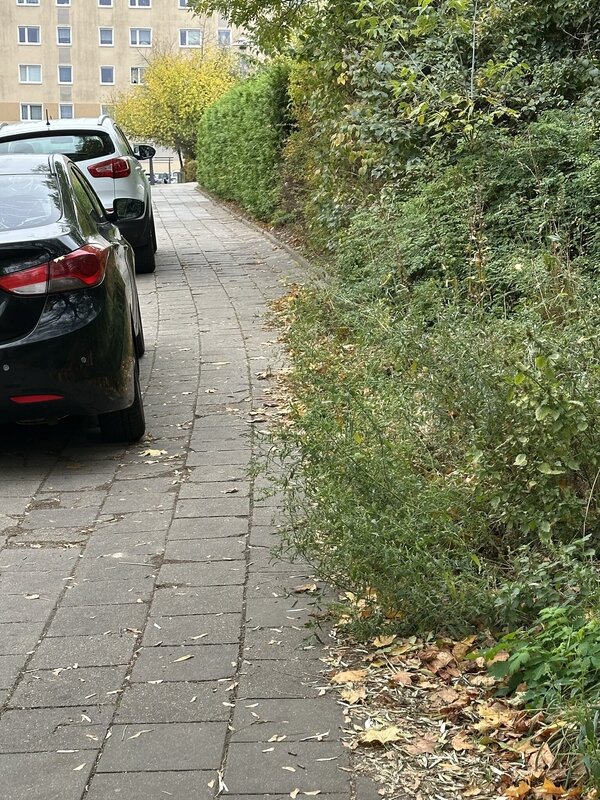 Bild vergr&ouml;&szlig;ern: 6daf03fc27f12db33017f64937833d2c_g